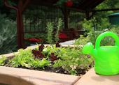 img-620111_galerie-980